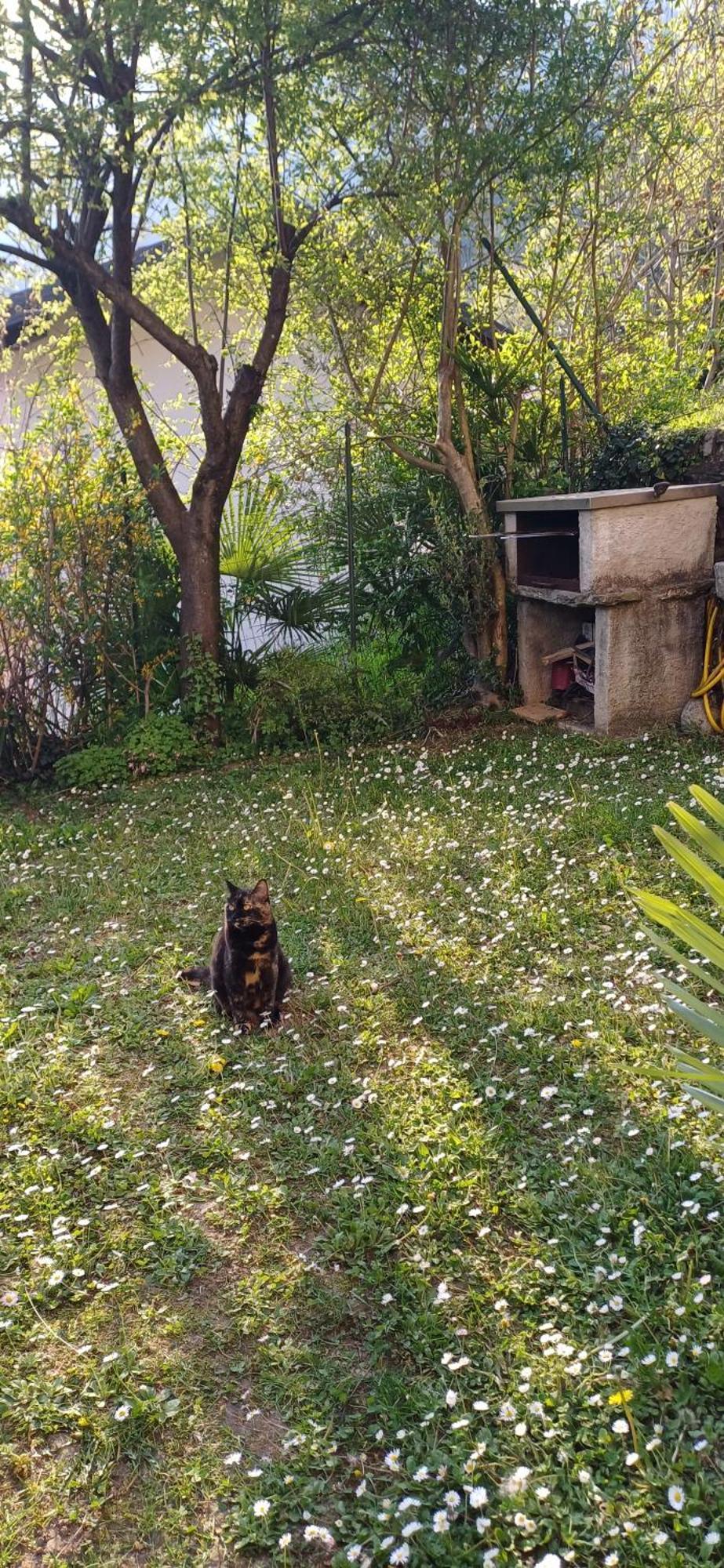 פורלצה Casa Vista Lago E Giardino מראה חיצוני תמונה